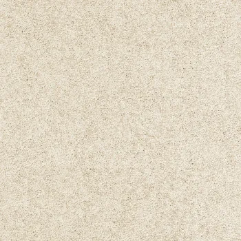 Vorwerk Yasmin 8L96 hellbeige Teppichboden kaufen – Draufsicht rechteckig